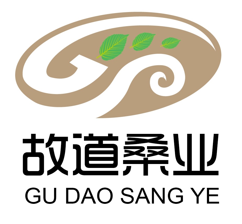 喝茶就可以防脫生發(fā)，太神奇了！桑葉養(yǎng)生茶