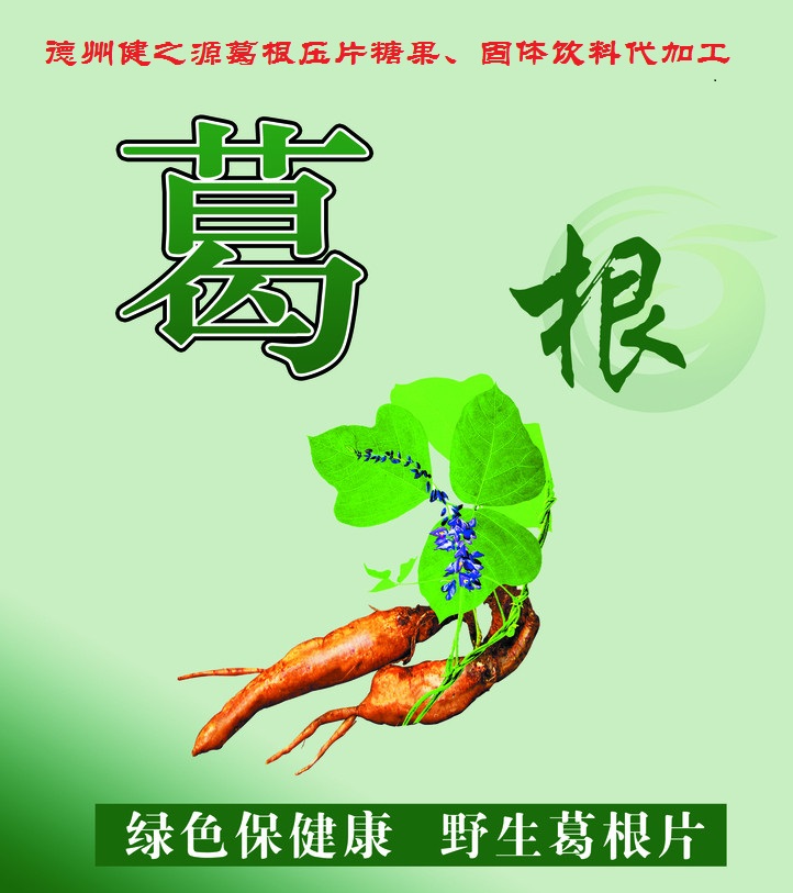 葛根，男女通用的人體調理專家