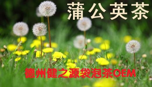 蒲公英茶，今天您喝了嗎？