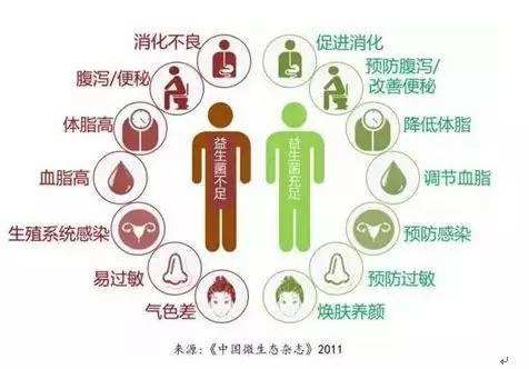 夏天腸胃問題頻發(fā)，您應(yīng)該用益生菌了