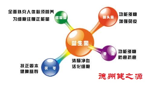 夏天腸胃問題頻發(fā)，您應(yīng)該用益生菌了